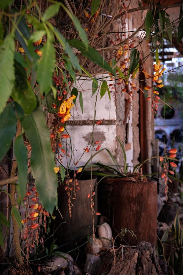 Y.O Inn Kon Tum Exterior photo